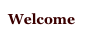 Welcome